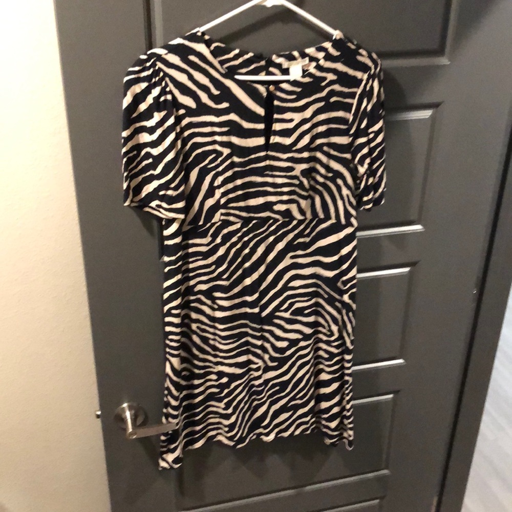 H&M Zebra Print Dress